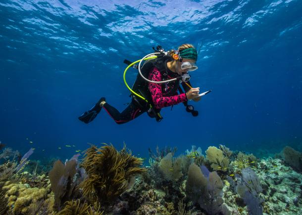 Science diver, American Samoa